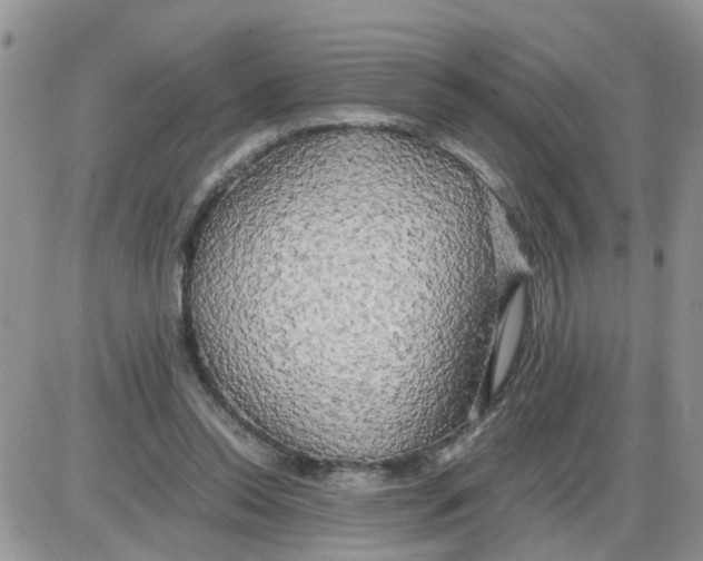 X0000086010350200704201902
