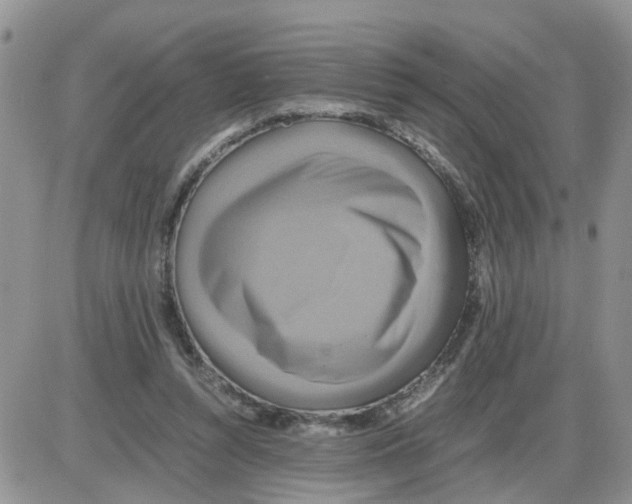 X0000086010352200704201902
