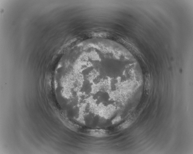 X0000086010363200704201902