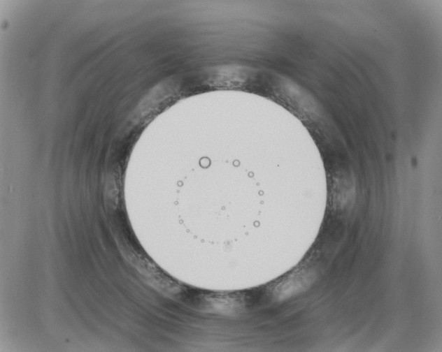 X0000086010370200704201902