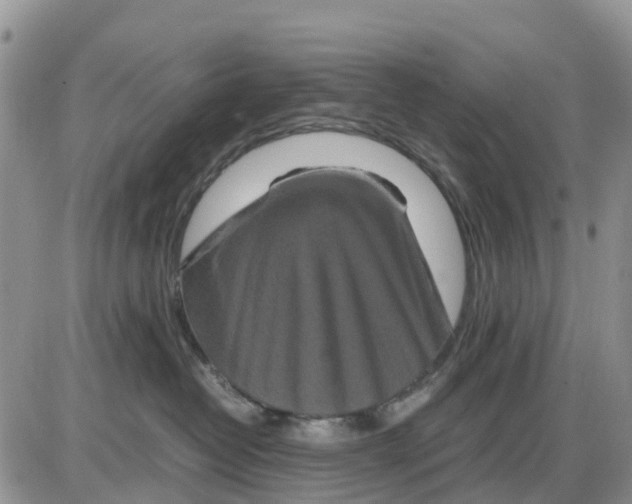 X0000086010382200704201902