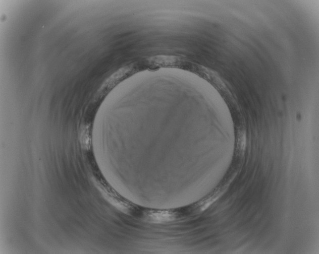 X0000086010383200704201902