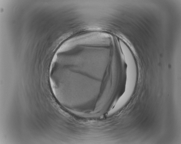X0000086010385200704201901