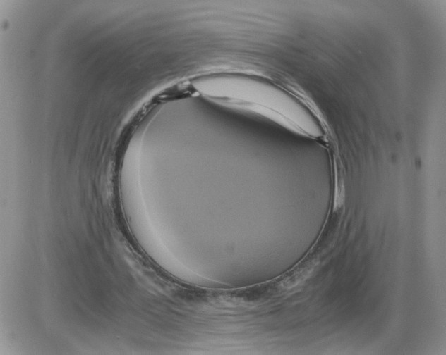 X0000086010387200704201901