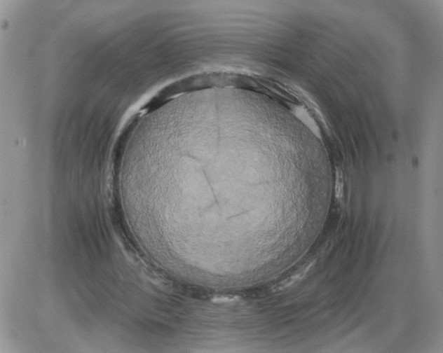X0000086010388200704201901