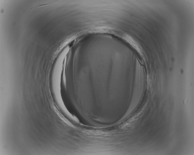 X0000086010389200704201901