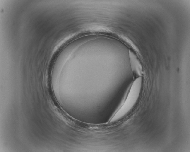 X0000086010391200704201901