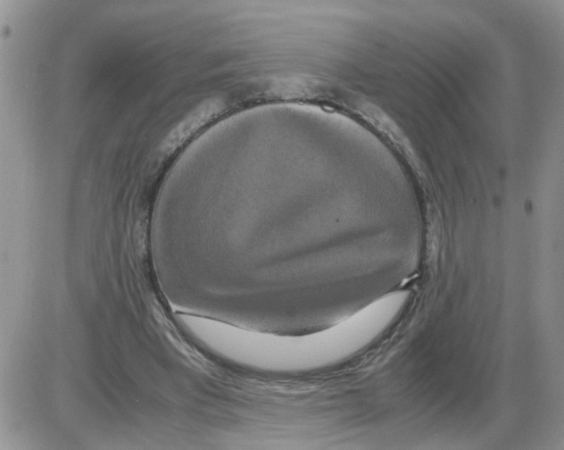 X0000086010393200704201901