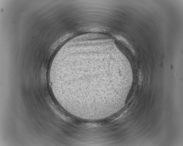 X0000086010394200704201901