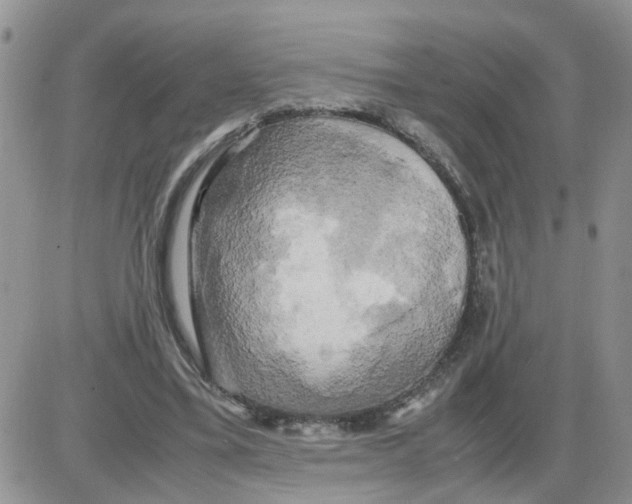 X0000086010395200704201901