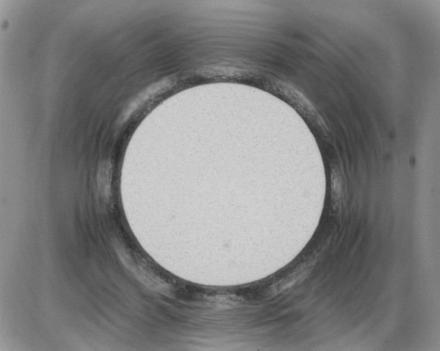 X0000086010396200704201901
