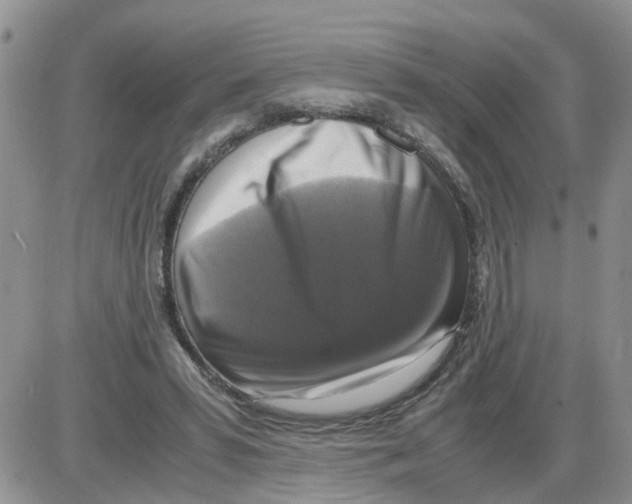 X0000086010399200704201901