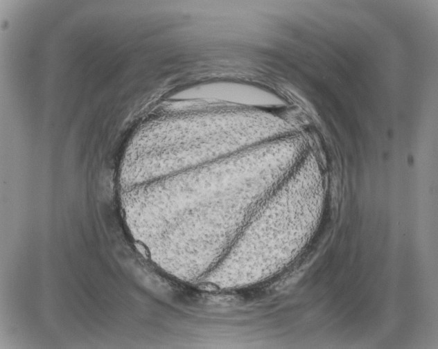 X0000086010401200704201901