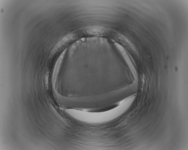 X0000086010404200704201901