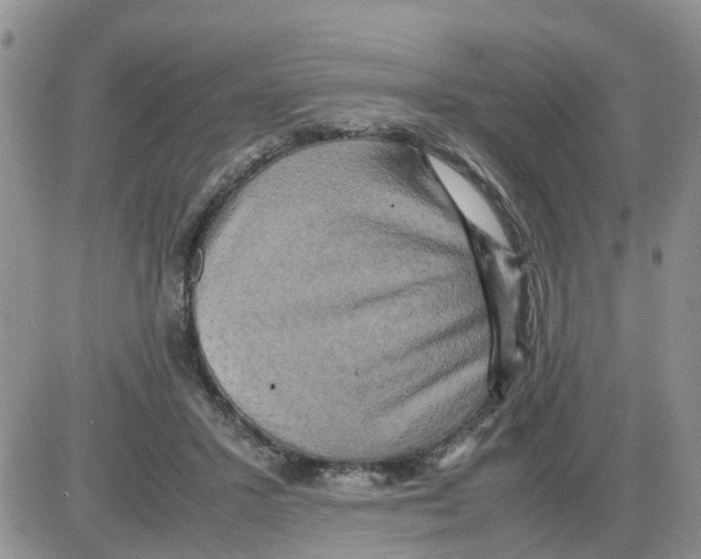 X0000086010407200704201901
