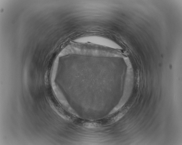 X0000086010408200704201901