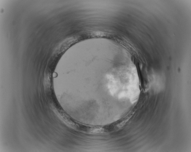 X0000086010410200704201901