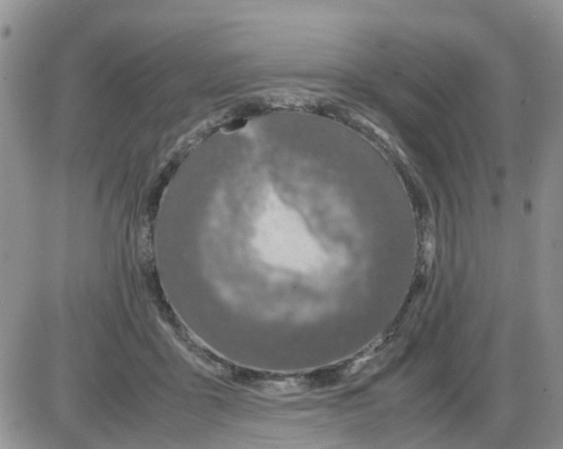 X0000086010411200704201901