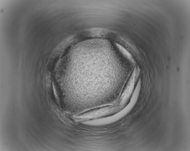 X0000086010413200704201901