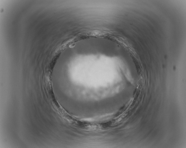 X0000086010415200704201901