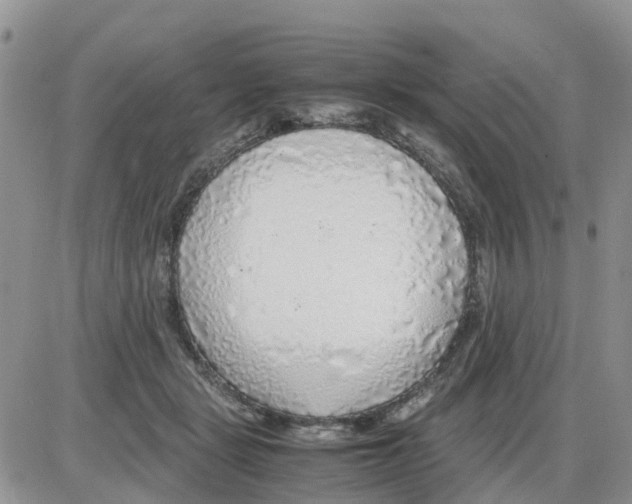 X0000086010461200704201900