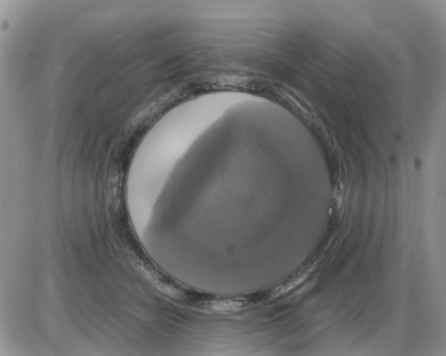 X0000086010462200704201900