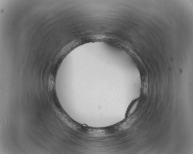 X0000086010476200704201901