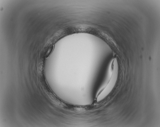 X0000086010509200704201859