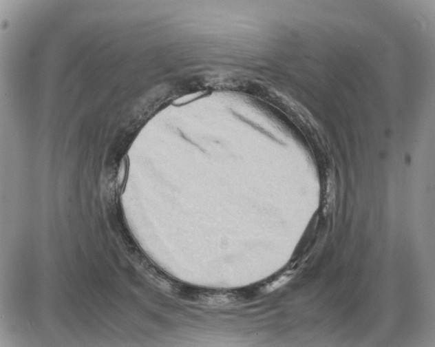 X0000086010513200704201859