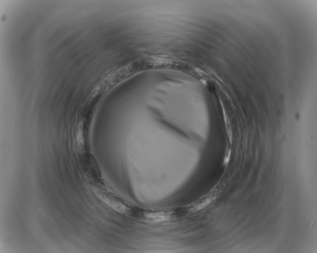 X0000086010516200704201859