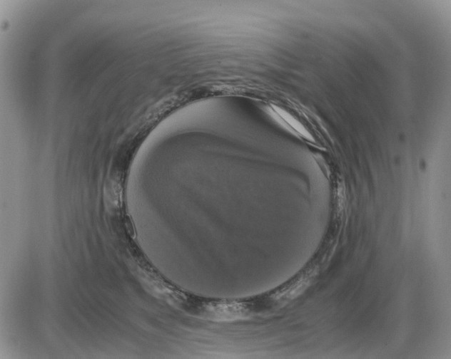 X0000086010517200704201859
