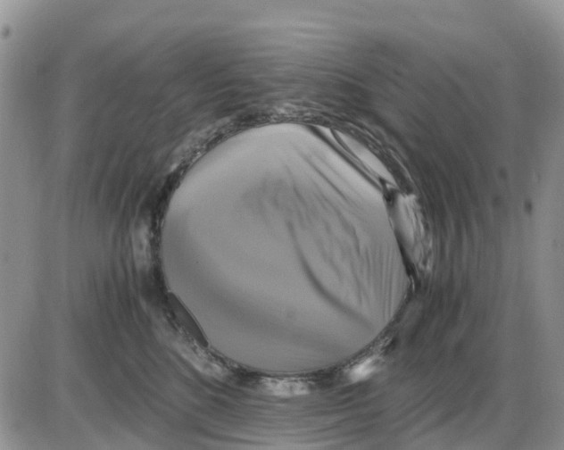 X0000086010520200704201859