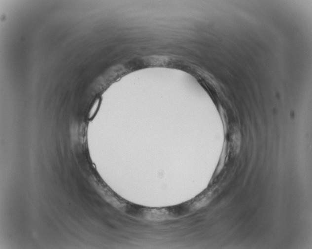 X0000086010525200704201859