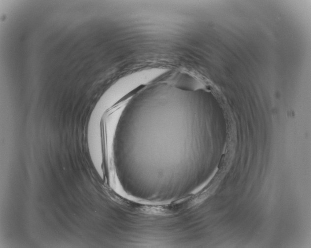 X0000086010528200704201859