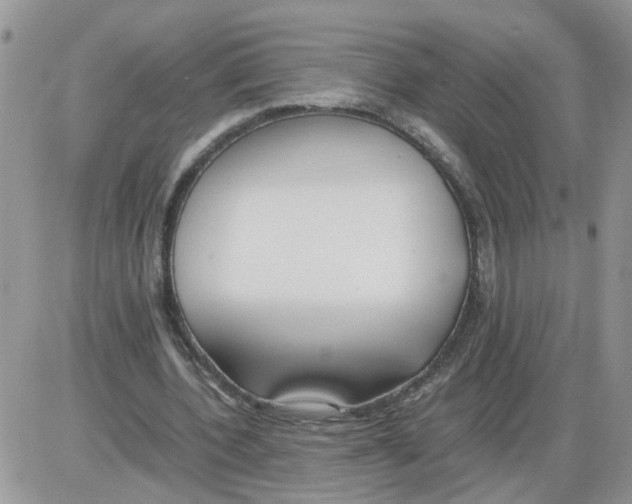 X0000086010532200704201858