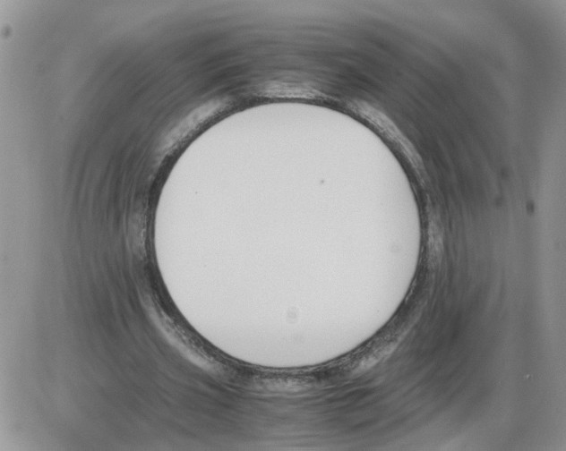X0000086010533200704201858