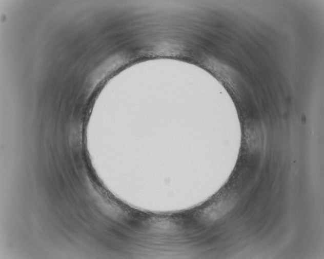 X0000086010534200704201858