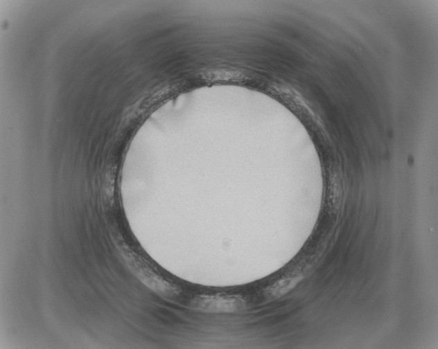 X0000086010545200704201859