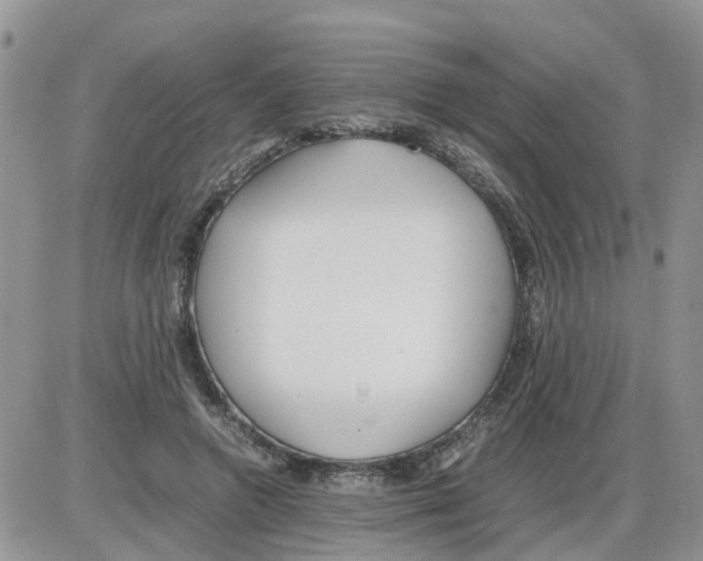 X0000086010546200704201859