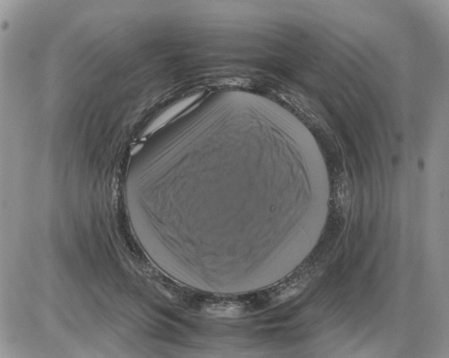 X0000086010551200704201859