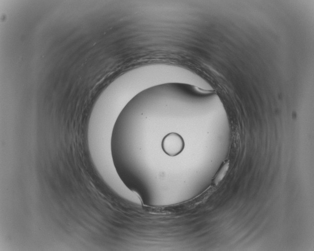 X0000086010556200704201859