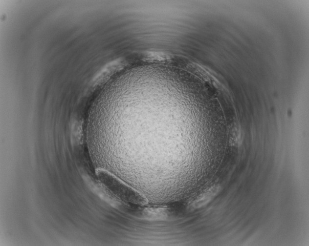 X0000086010560200704201859