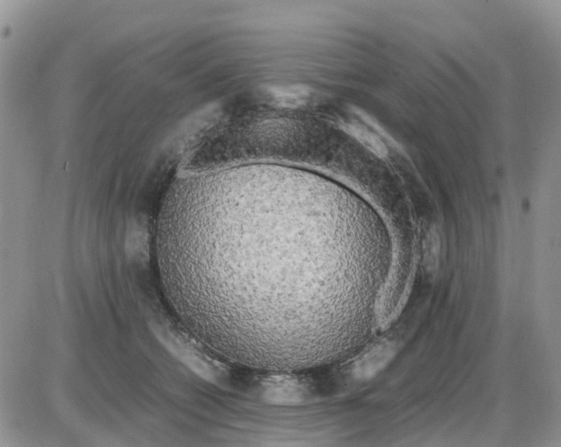 X0000086010562200704201859