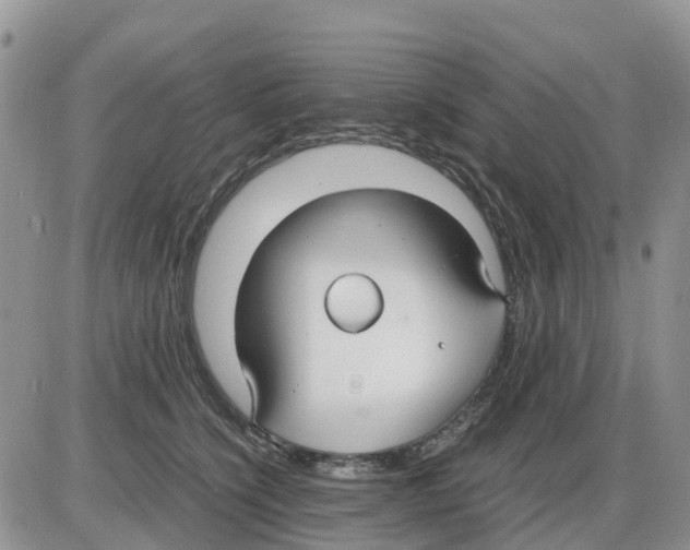 X0000086010564200704201859