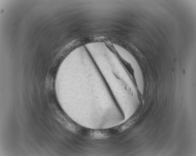 X0000086010565200704201859