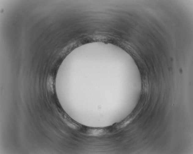 X0000086010575200704201859