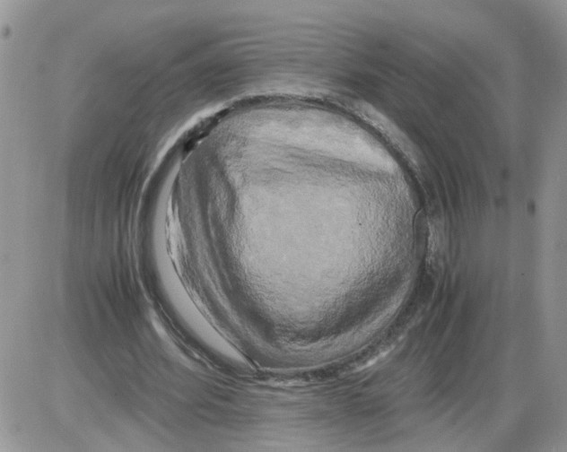 X0000086010580200704201858