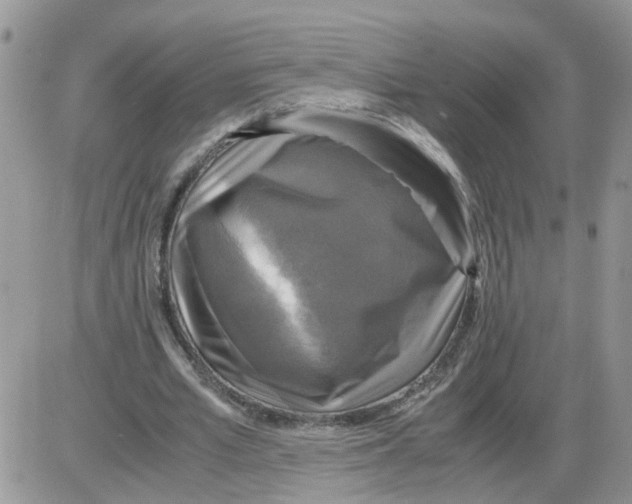 X0000086010581200704201858