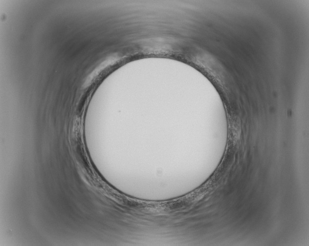 X0000086010583200704201858
