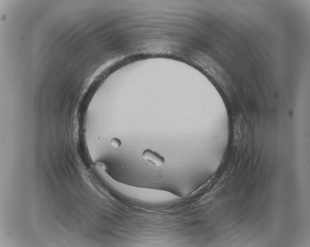 X0000086010584200704201858